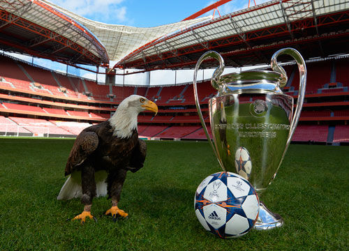 美食节今日开启！！！