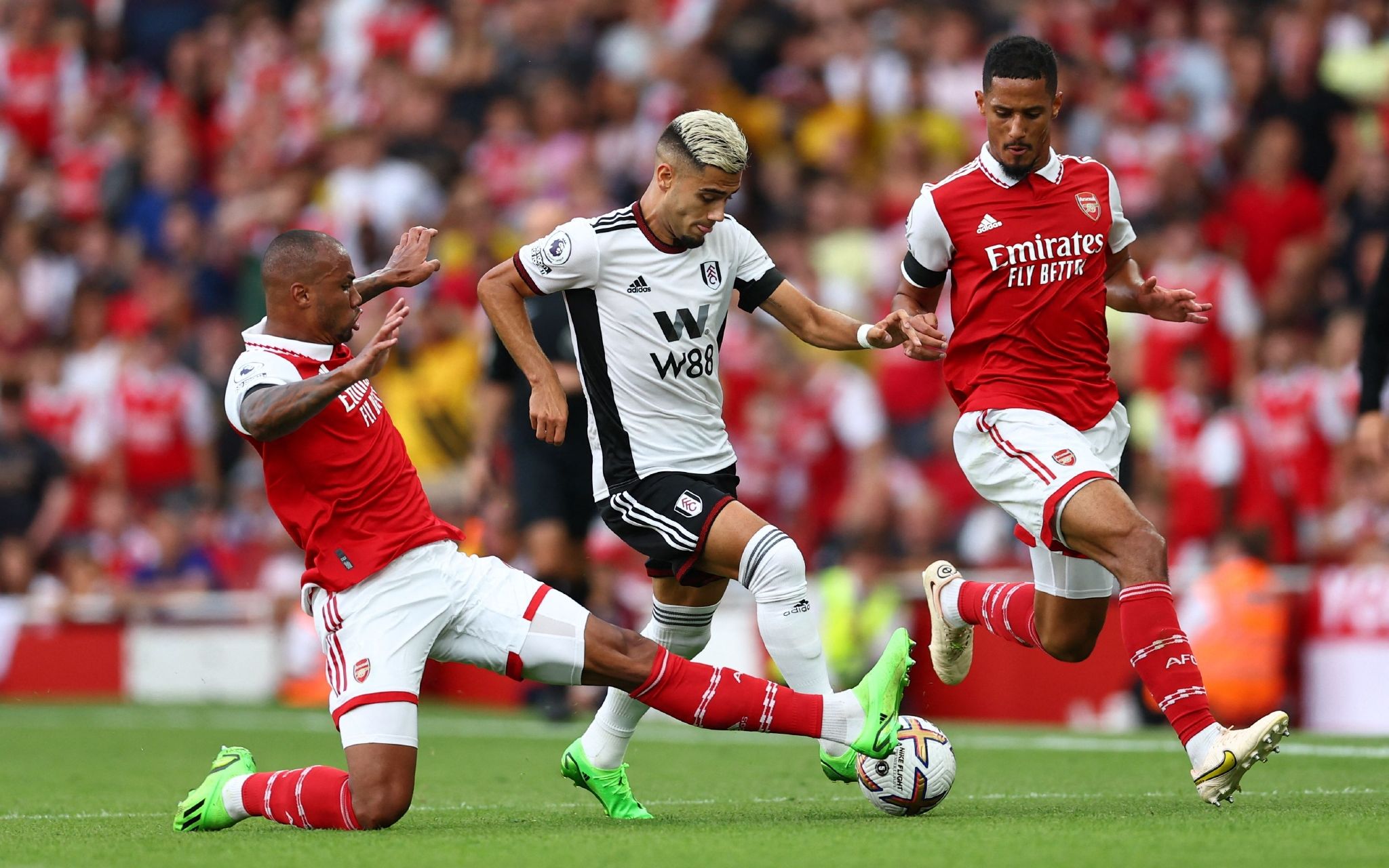 关爱女性，欢庆最美女神节！